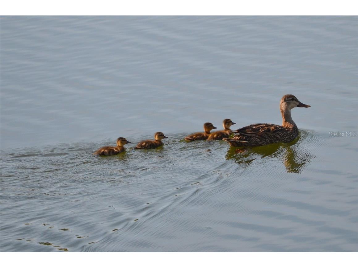 4008 Oakview Drive #K3 Punta Gorda FL 33980 C7503181 image32