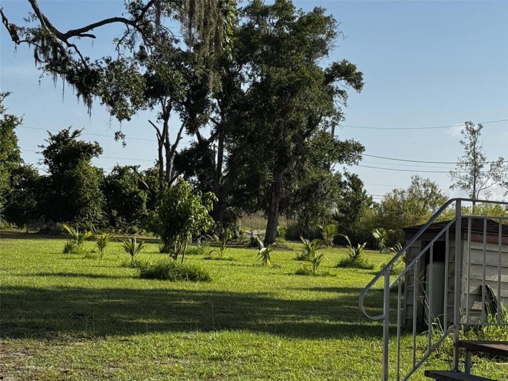 4008 Pine Lane Haines City FL 33844 - LAKE LOWERY TB8407136 image2