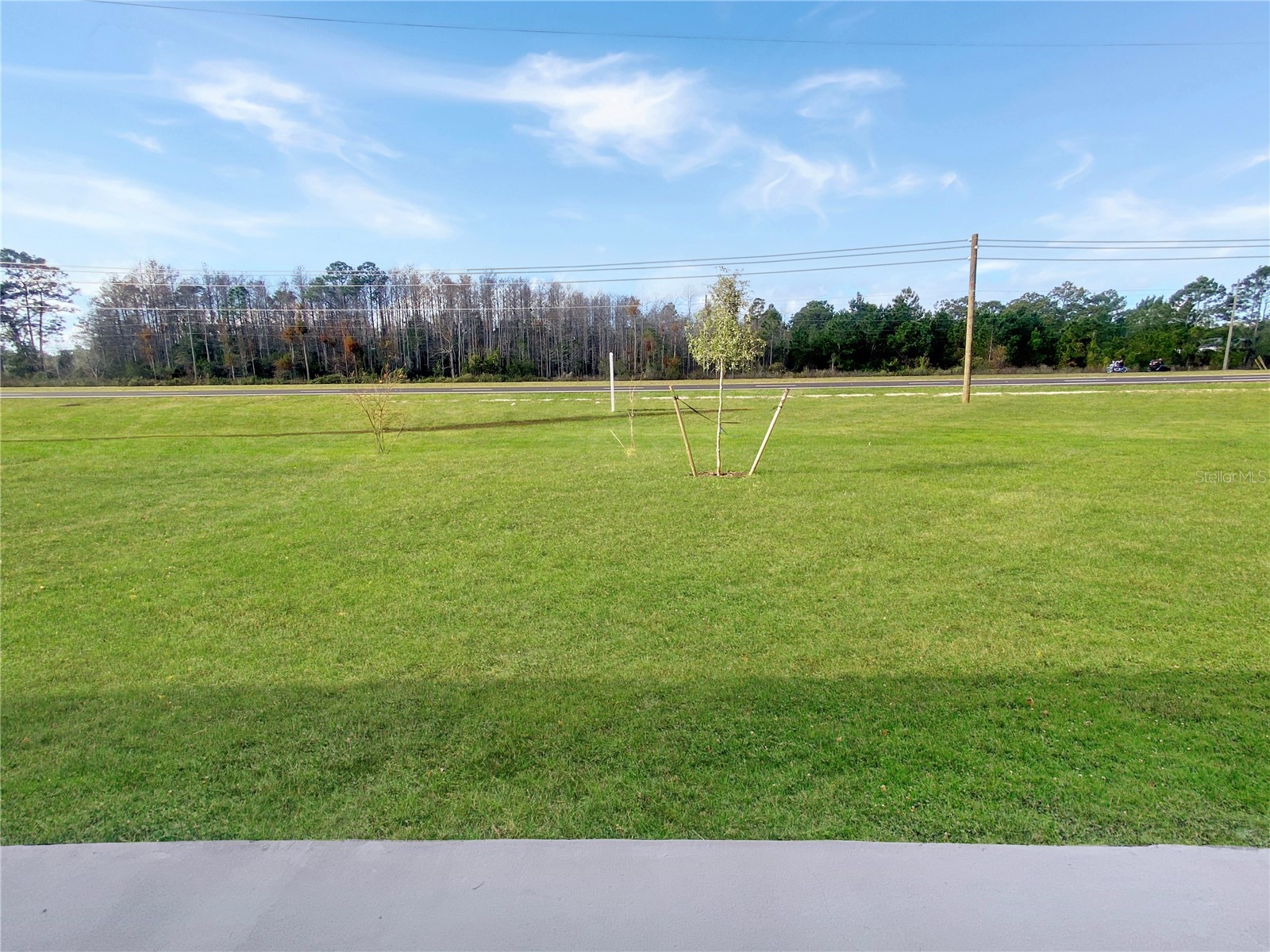 4008 Sagefield Drive Harmony FL 34773 O6355593 image16