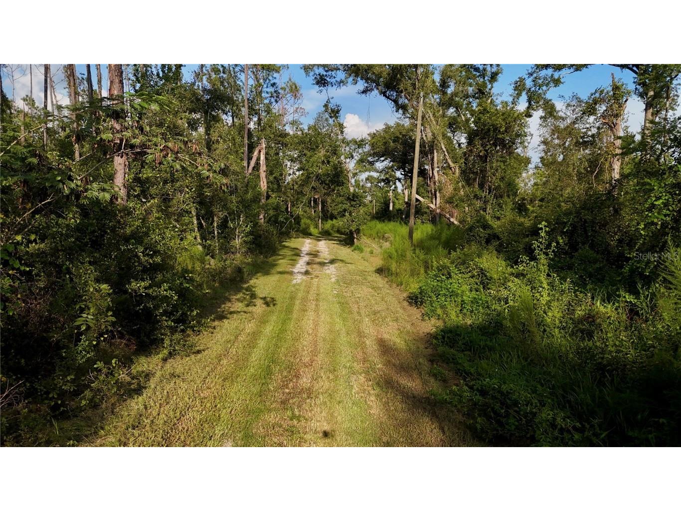 4008 SW 77th Boulevard Jasper FL 32052 OM708800 image19