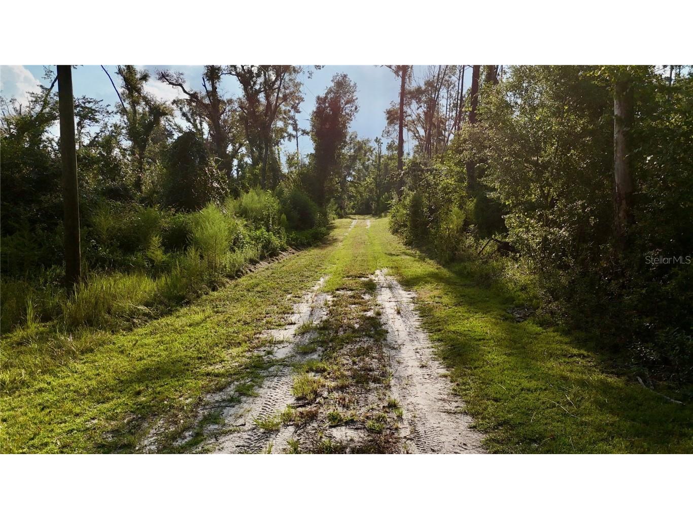 4008 SW 77th Boulevard Jasper FL 32052 OM708800 image20