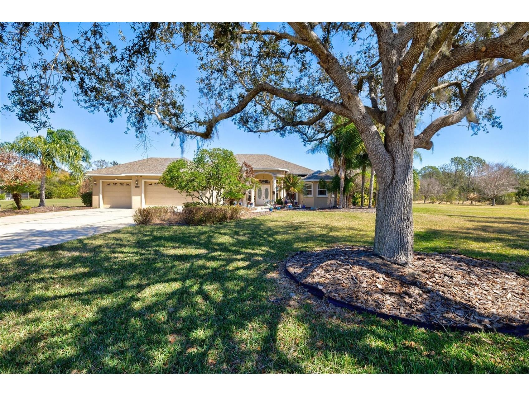 4008 Twin Rivers Trail Parrish FL 34219 A4681731 image3