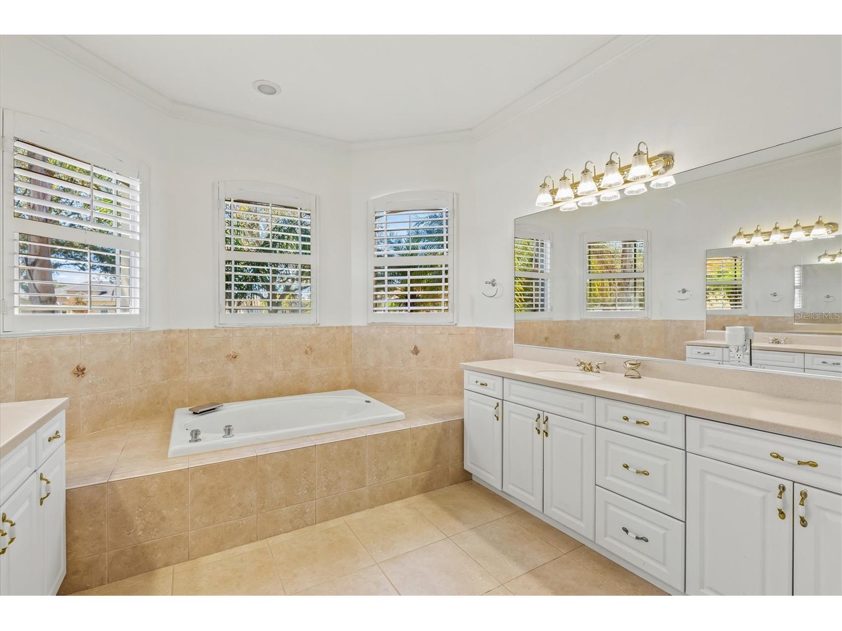 4008 Twin Rivers Trail Parrish FL 34219 A4681731 image33