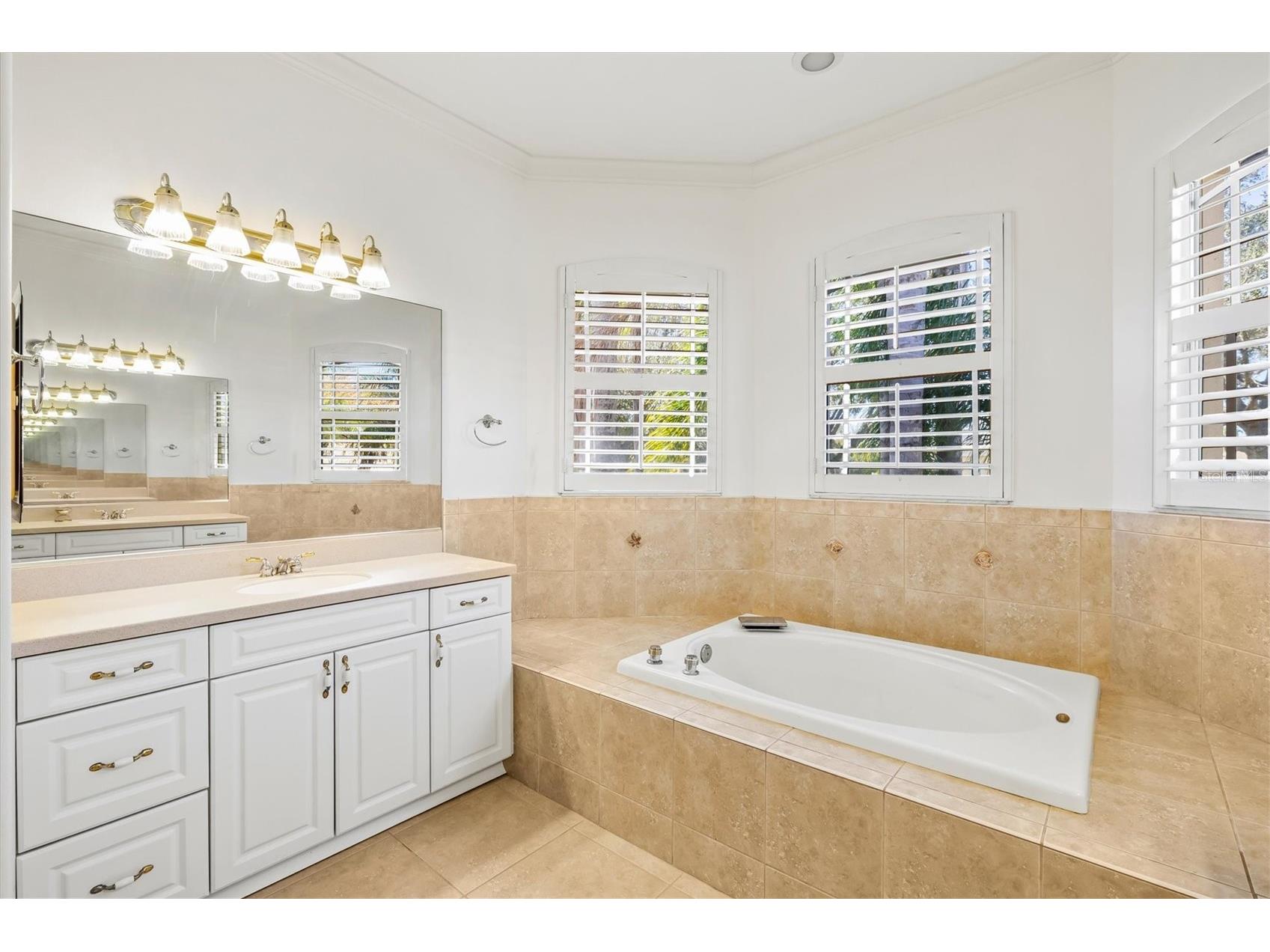 4008 Twin Rivers Trail Parrish FL 34219 A4681731 image34
