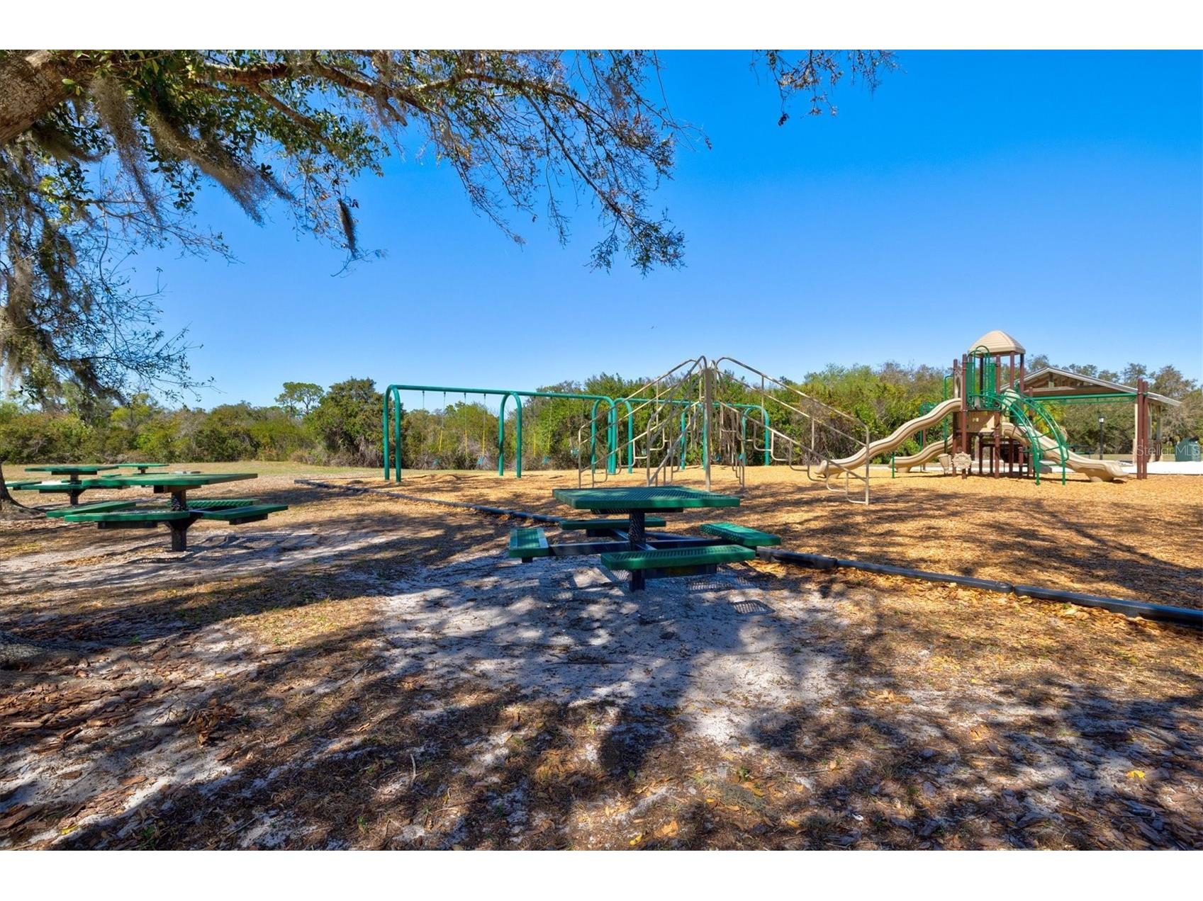 4008 Twin Rivers Trail Parrish FL 34219 A4681731 image85
