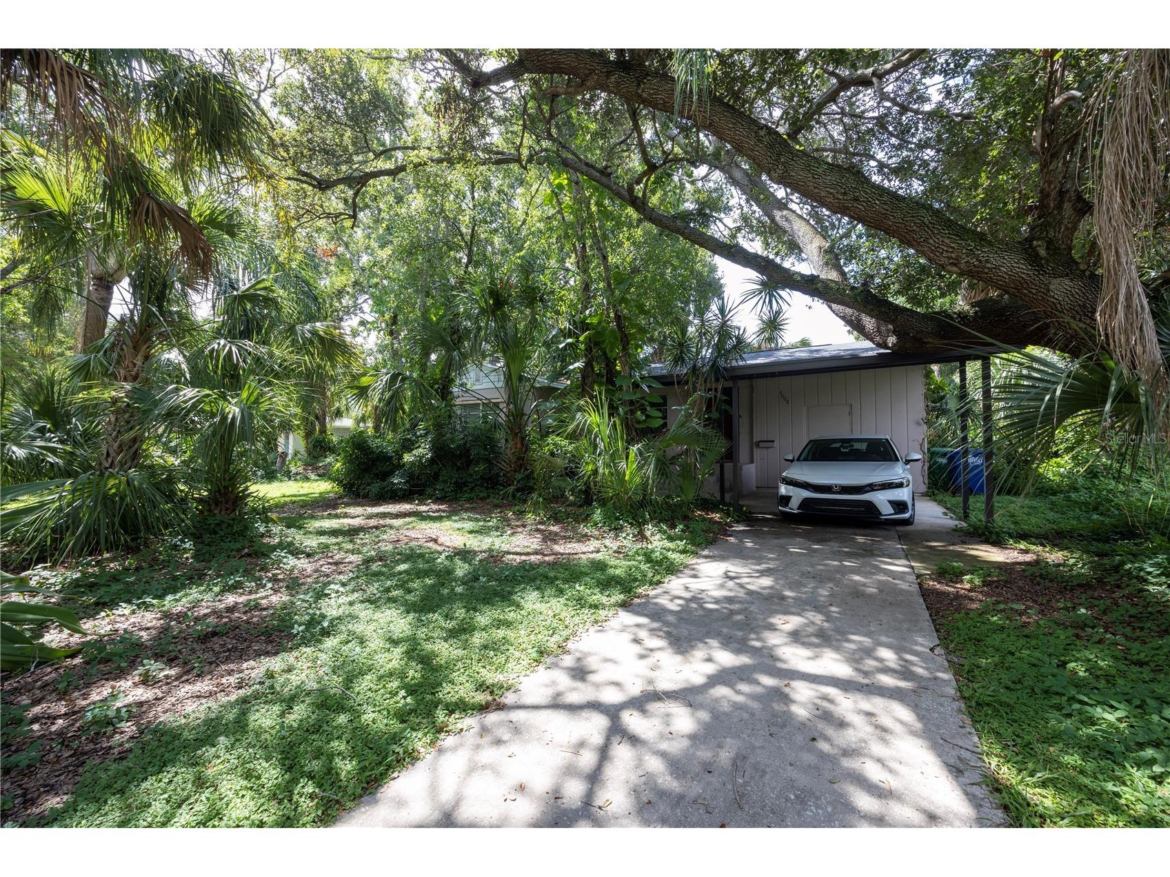 4008 W Estrella Street Tampa FL 33629 TB8417489 image1