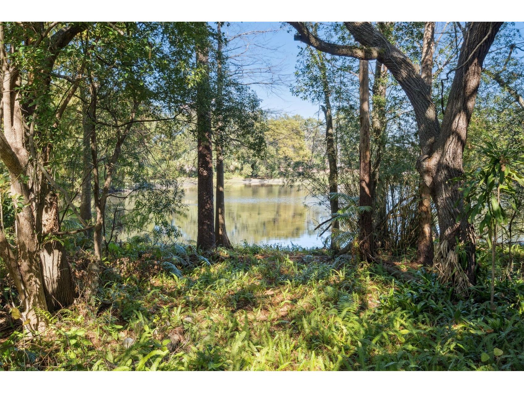4008 W Maryland Place Casselberry FL 32707 O6366581 image37