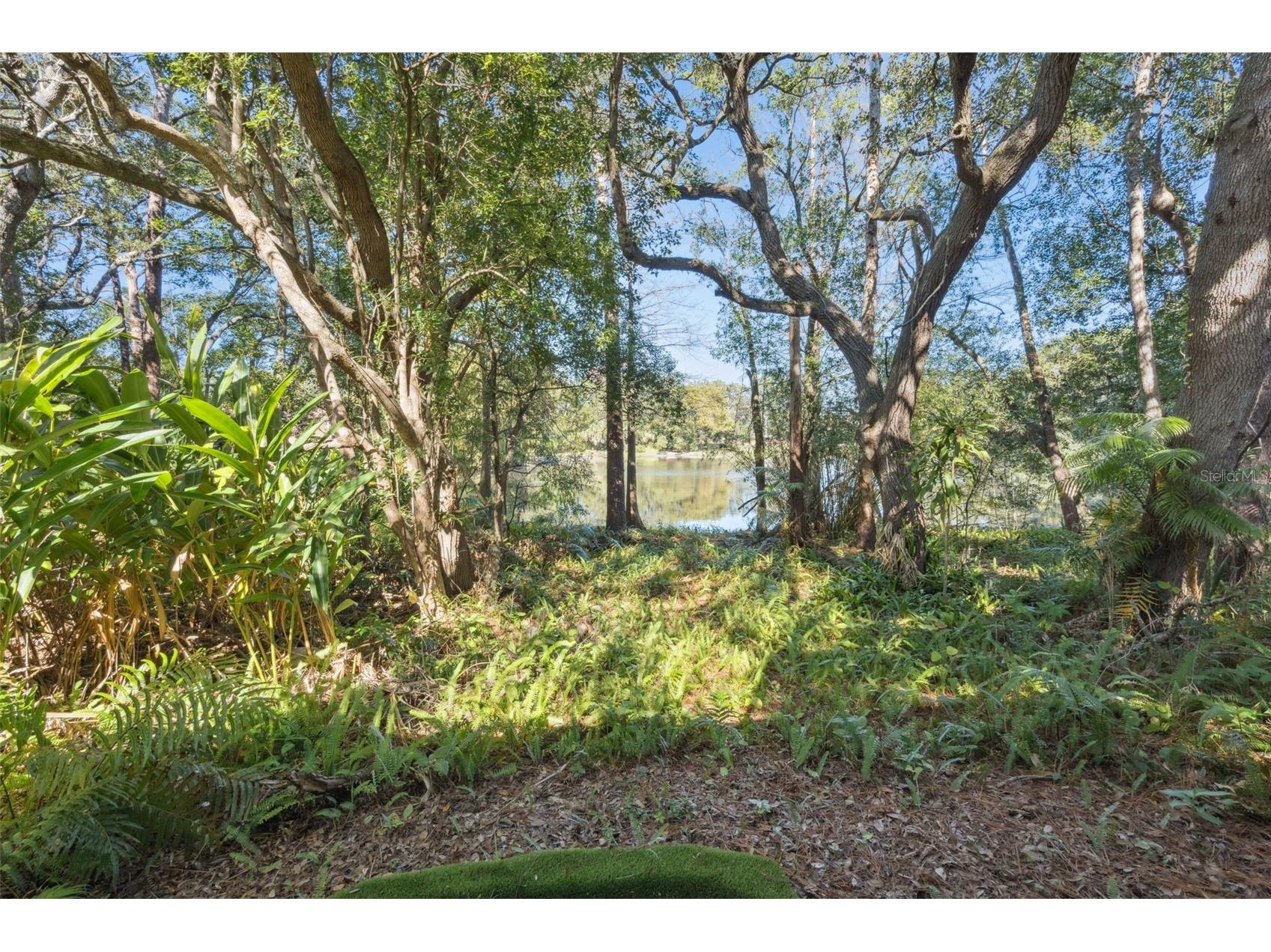 4008 W Maryland Place Casselberry FL 32707 O6366581 image38