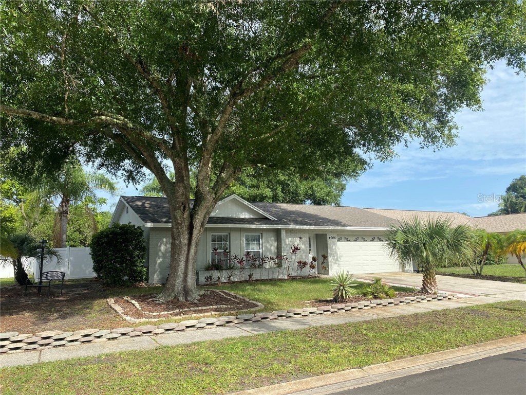 4008 Windtree Drive Tampa FL 33624 U8210604 image1