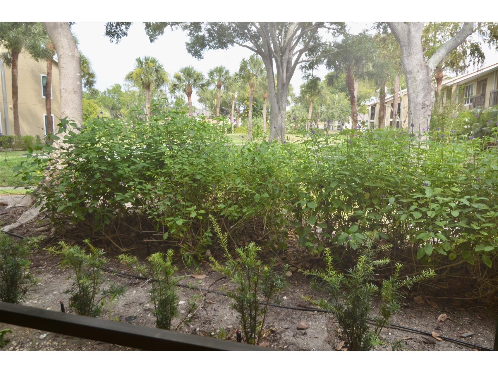 4009 Crockers Lake Boulevard #1216 Sarasota FL 34238 A4696580 image26