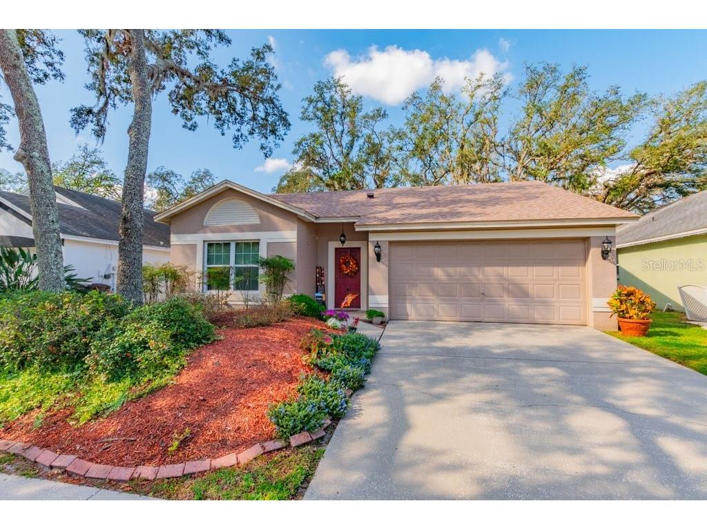 4009 Fontana Place Valrico FL 33596 TB8320719 image1