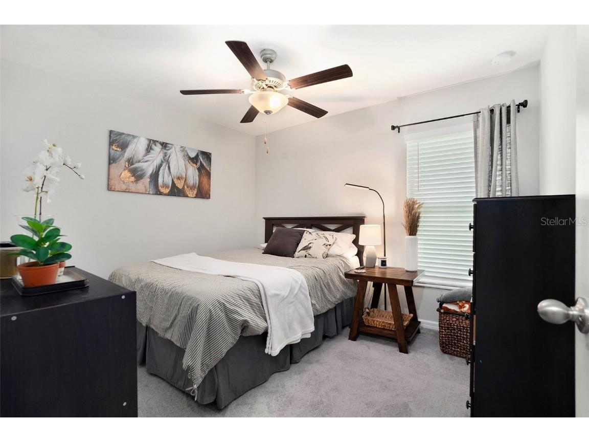 4009 Globe Thistle Drive Tampa FL 33619 TB8411592 image22