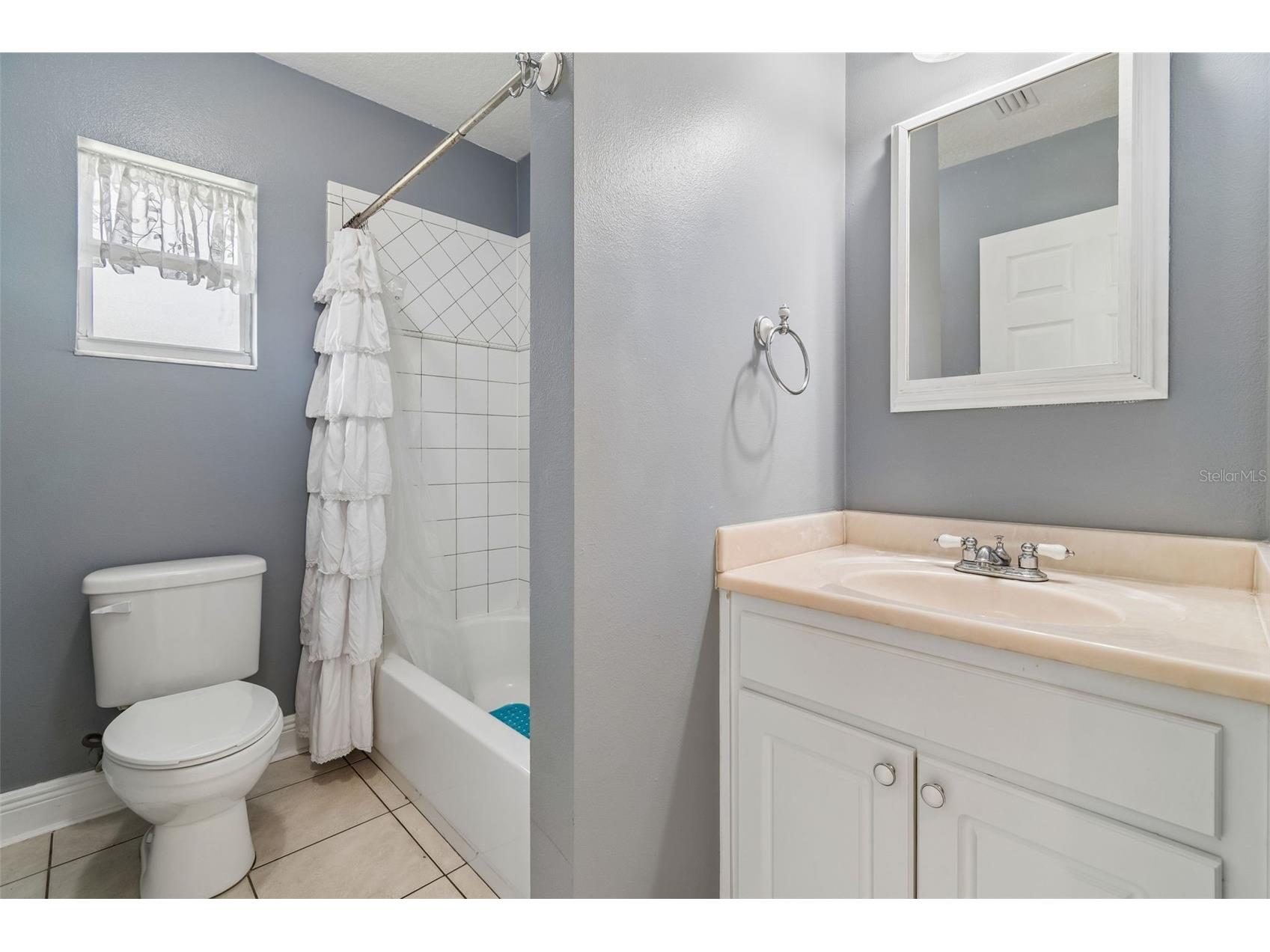 4009 Orangefield Place Valrico FL 33596 TB8511199 image15