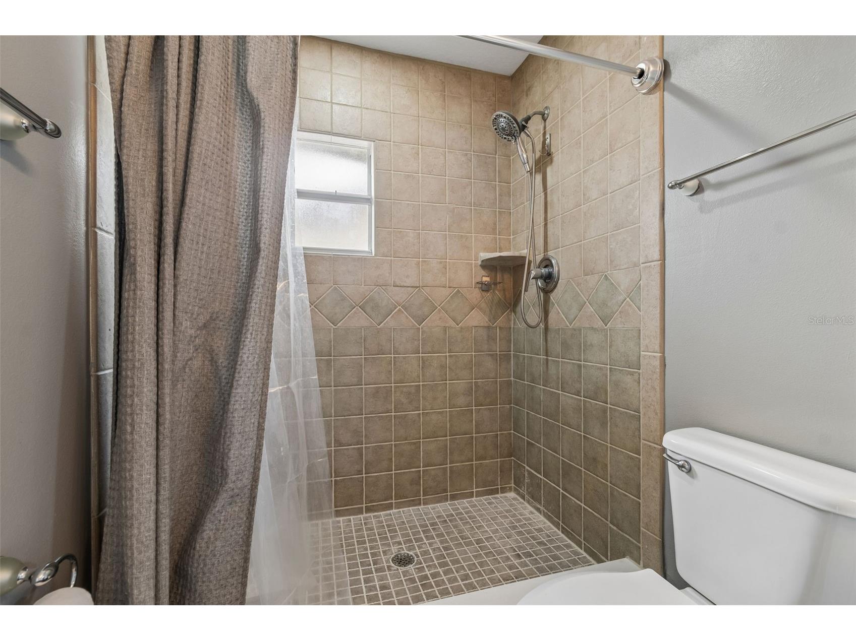 4009 Orangefield Place Valrico FL 33596 TB8511199 image23