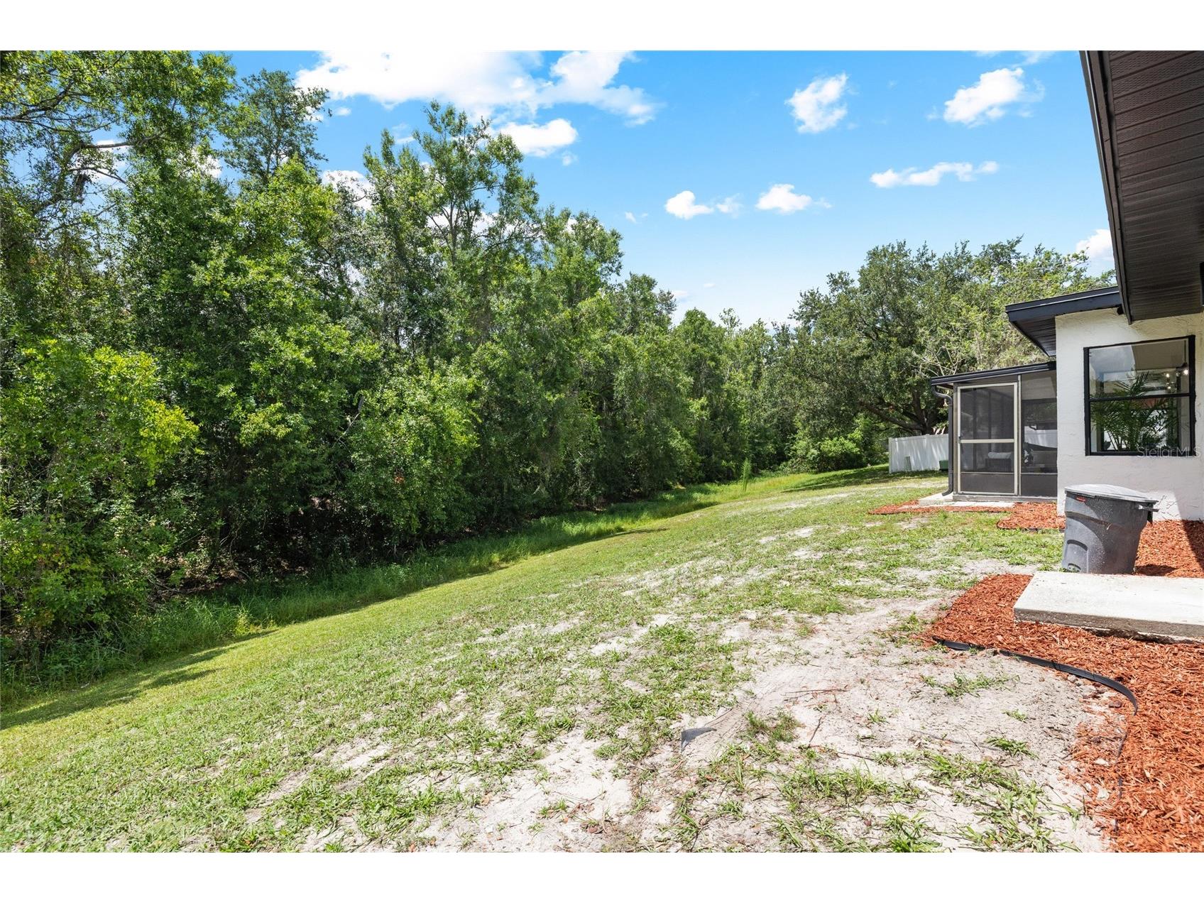 4009 Sprucewood Place Land O Lakes FL 34639 TB8526832 image35