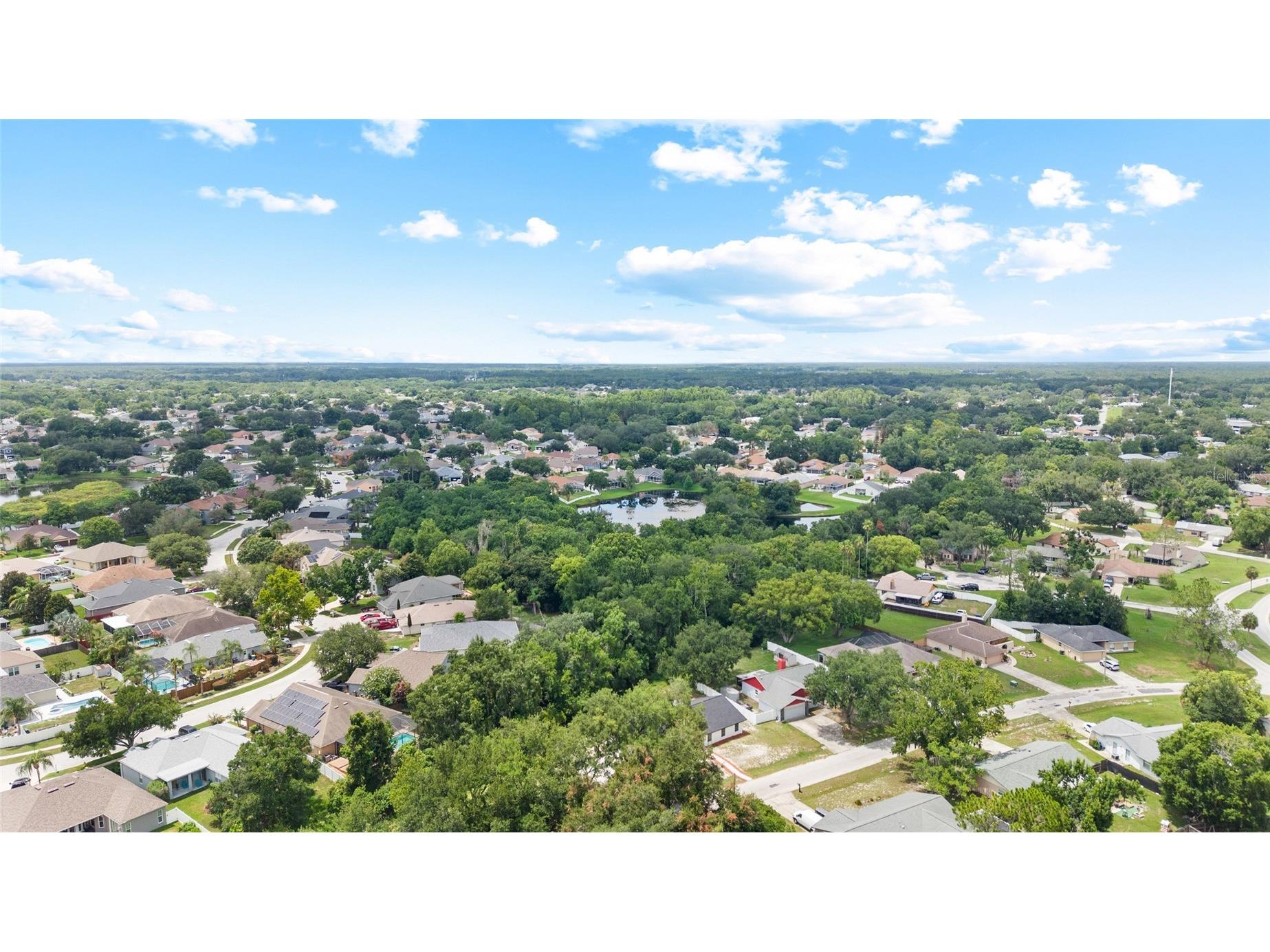 4009 Sprucewood Place Land O Lakes FL 34639 TB8526832 image40