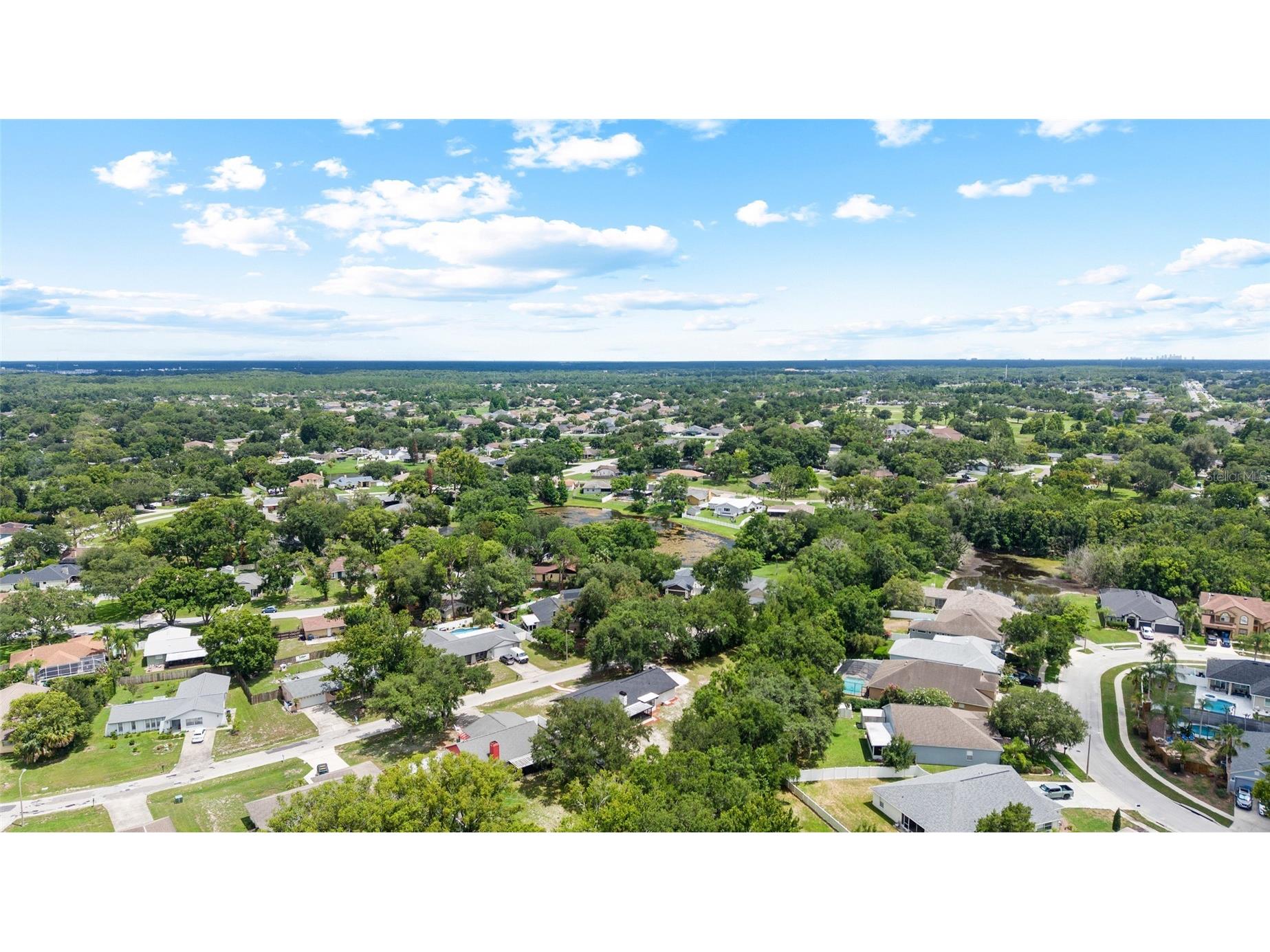 4009 Sprucewood Place Land O Lakes FL 34639 TB8526832 image41