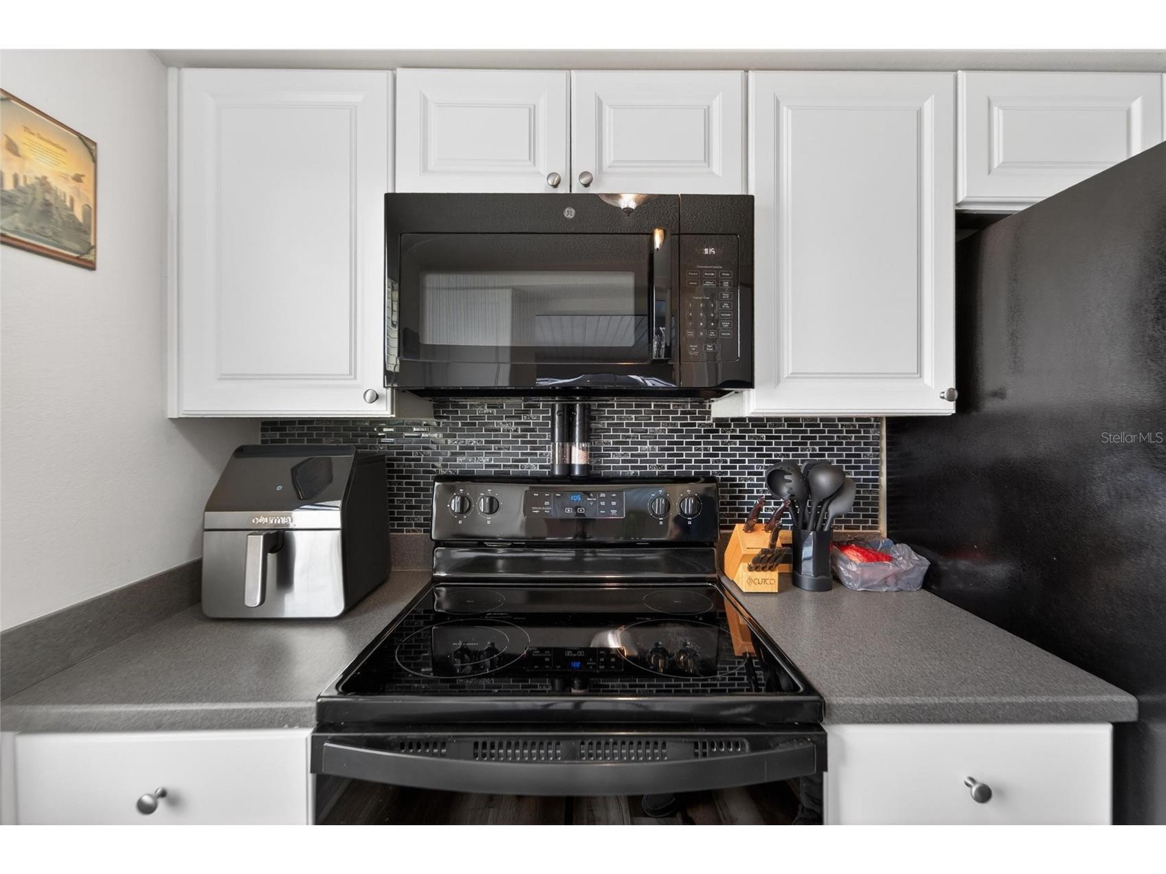4009 Star Island Drive Holiday FL 34691 - LAKE CONLEY TB8510992 image17
