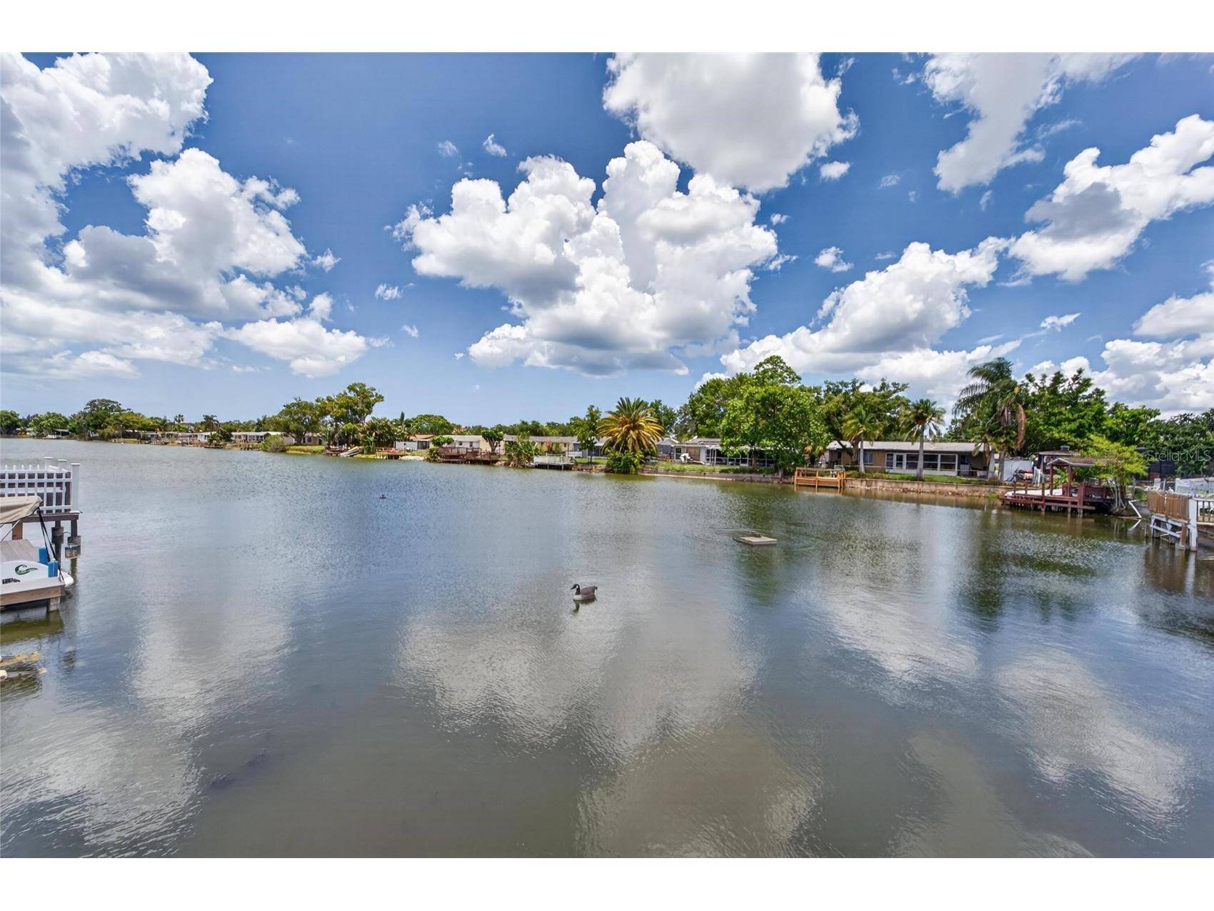 4009 Star Island Drive Holiday FL 34691 - LAKE CONLEY TB8510992 image2