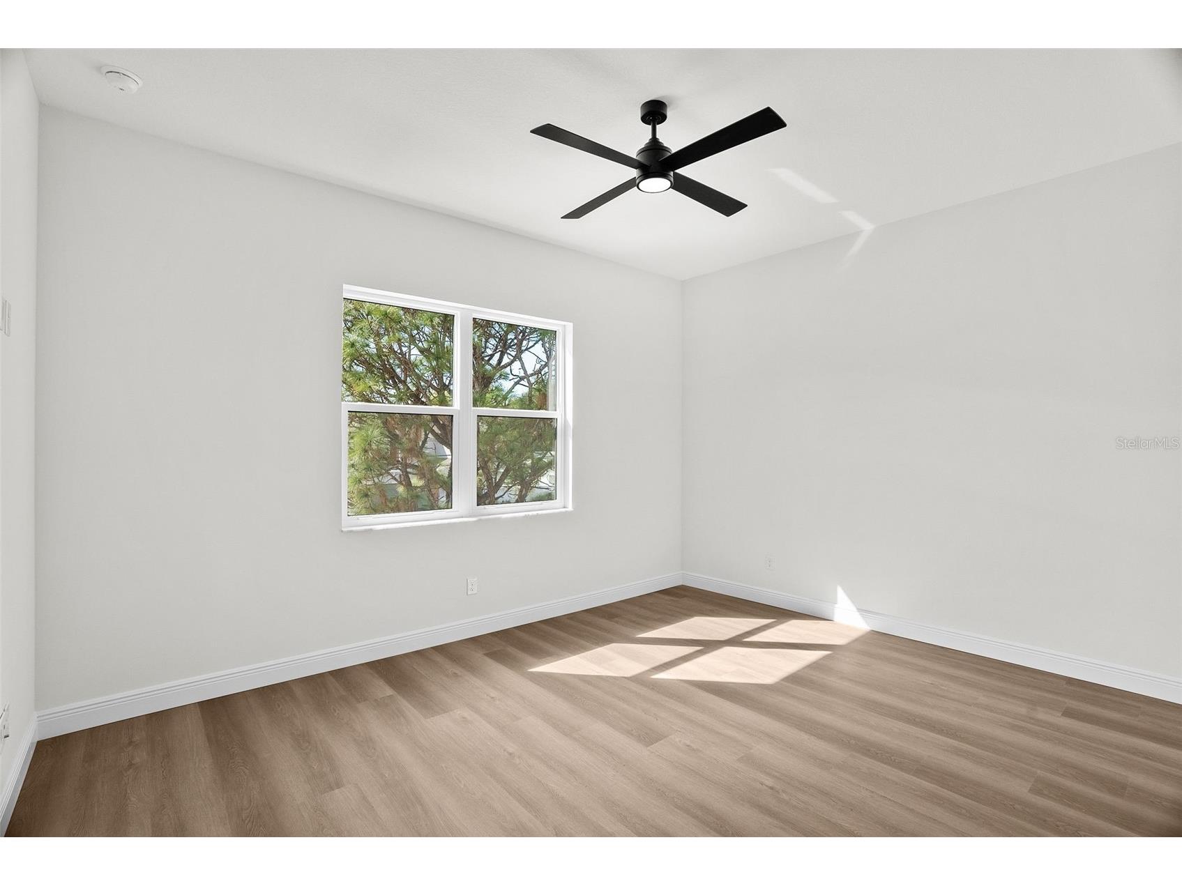 4009 W Euclid Avenue Tampa FL 33629 TB8477073 image63