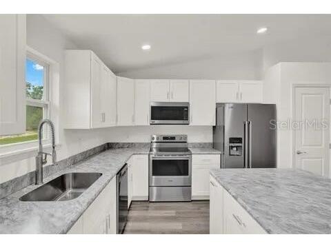 40091 Oakridge Drive Lady Lake FL 32159 O6389036 image8