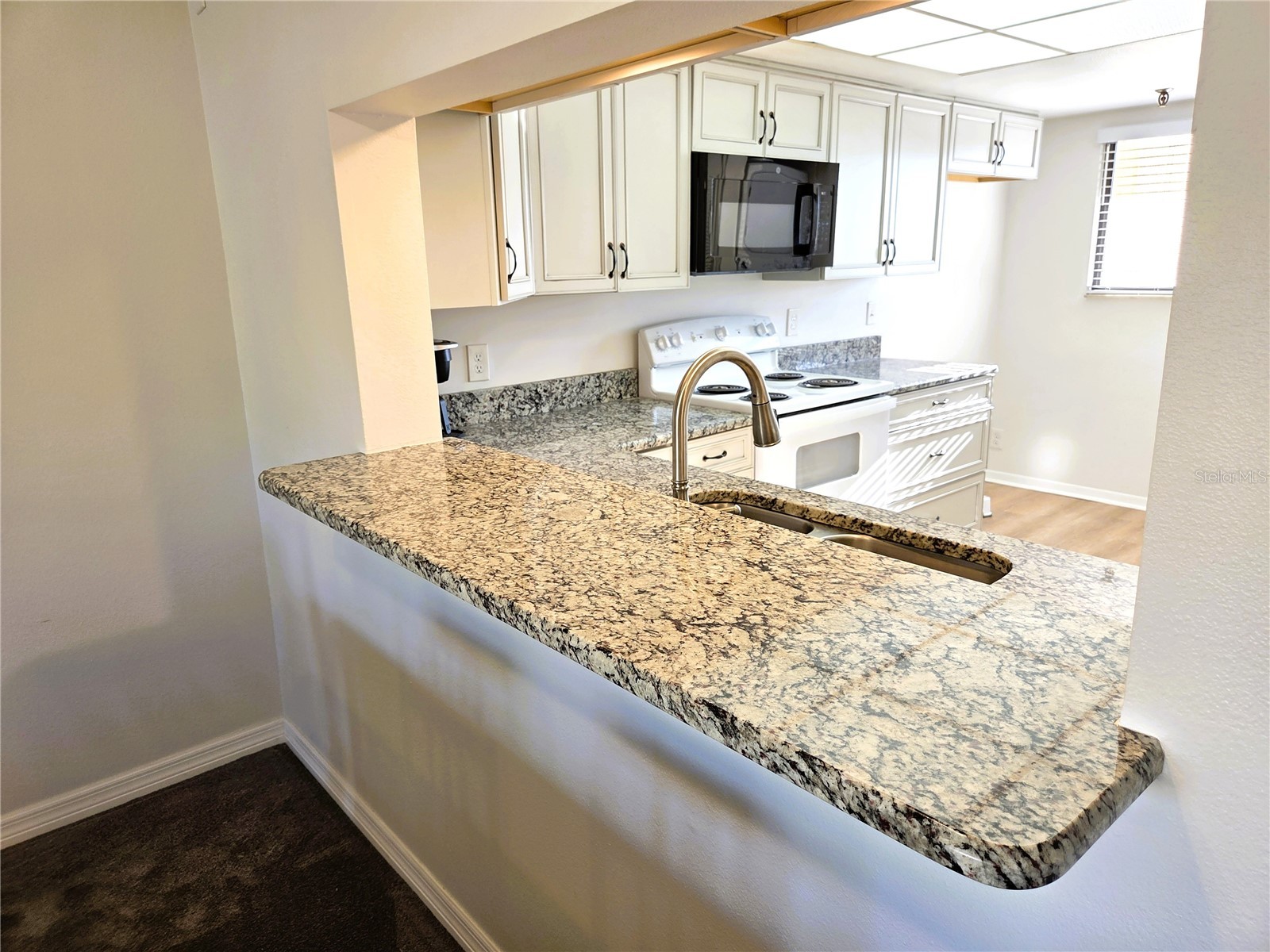 401 150th Avenue #223 Madeira Beach FL 33708 A4680055 image7