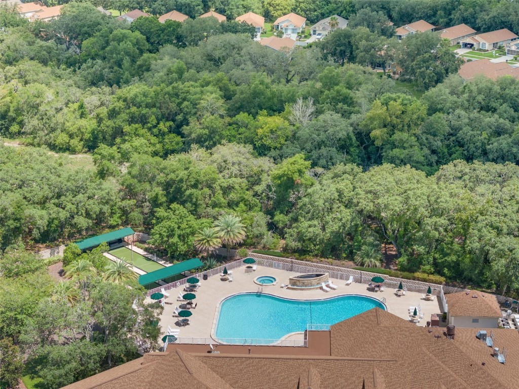 401 & 405 Candlestone Ct Spring Hill FL 34609 TB8440405 image5