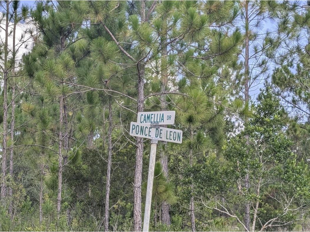 401 Camellia Drive Indian Lake Estates FL 33855 - LAKE WALK-IN-WATER P4937886 image1