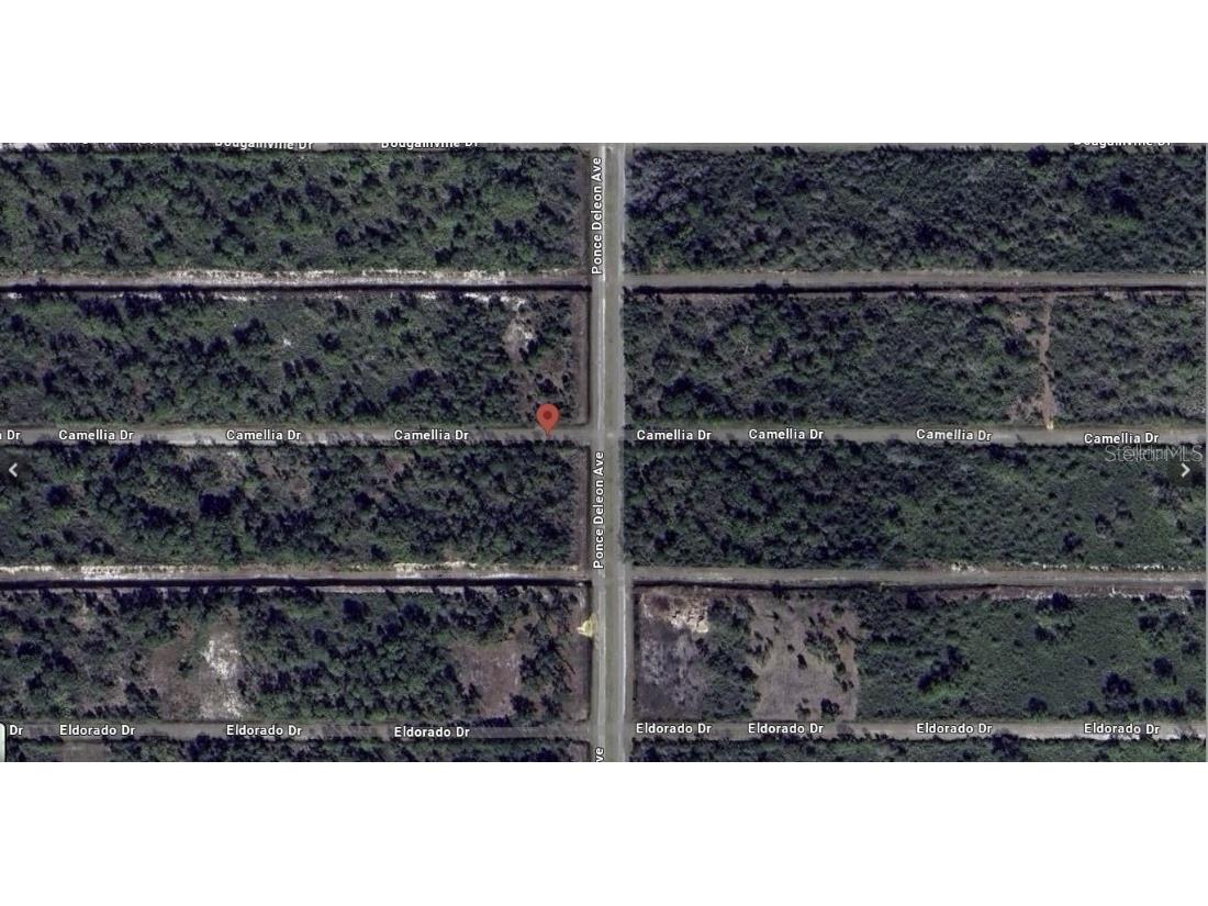 401 Camellia Drive Indian Lake Estates FL 33855 - LAKE WALK-IN-WATER P4937886 image3
