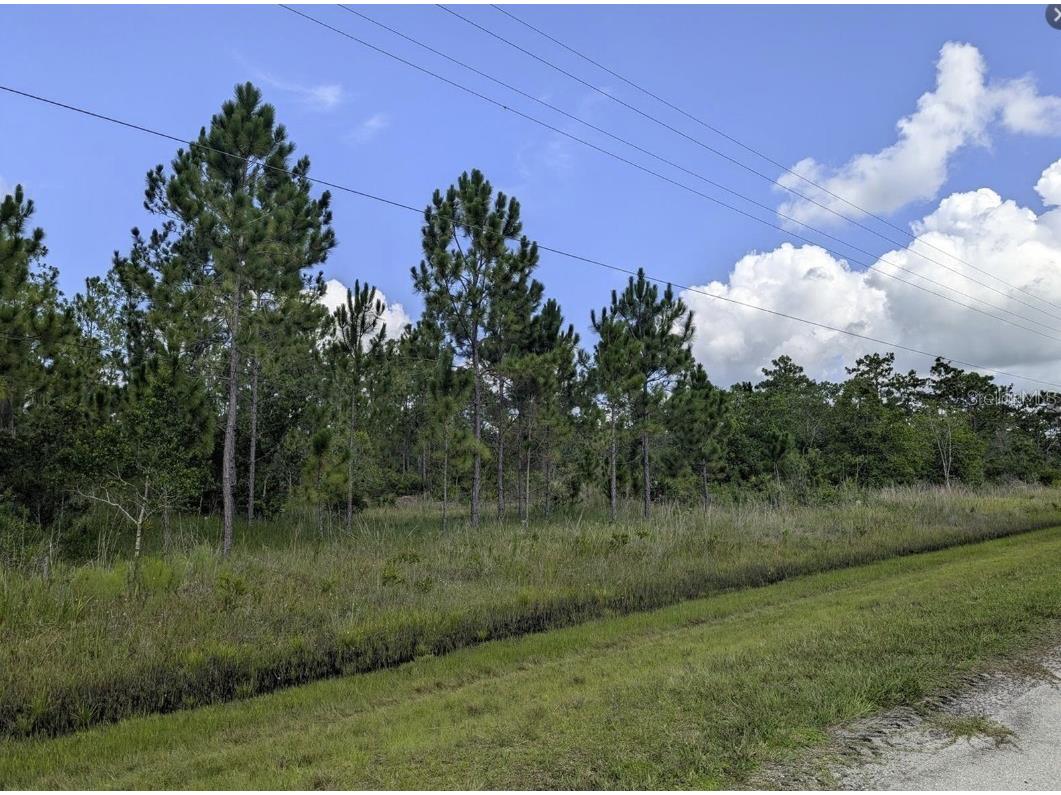 401 Camellia Drive Indian Lake Estates FL 33855 - LAKE WALK-IN-WATER P4937886 image5