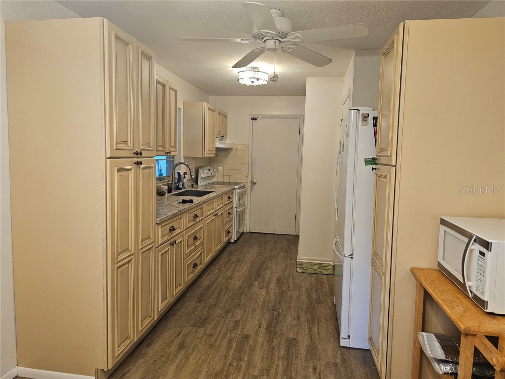 401 Cherry Street South Daytona FL 32119 V4937125 image11