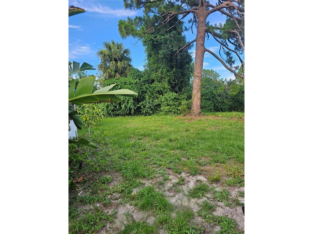 401 Cherry Street South Daytona FL 32119 V4937125 image5