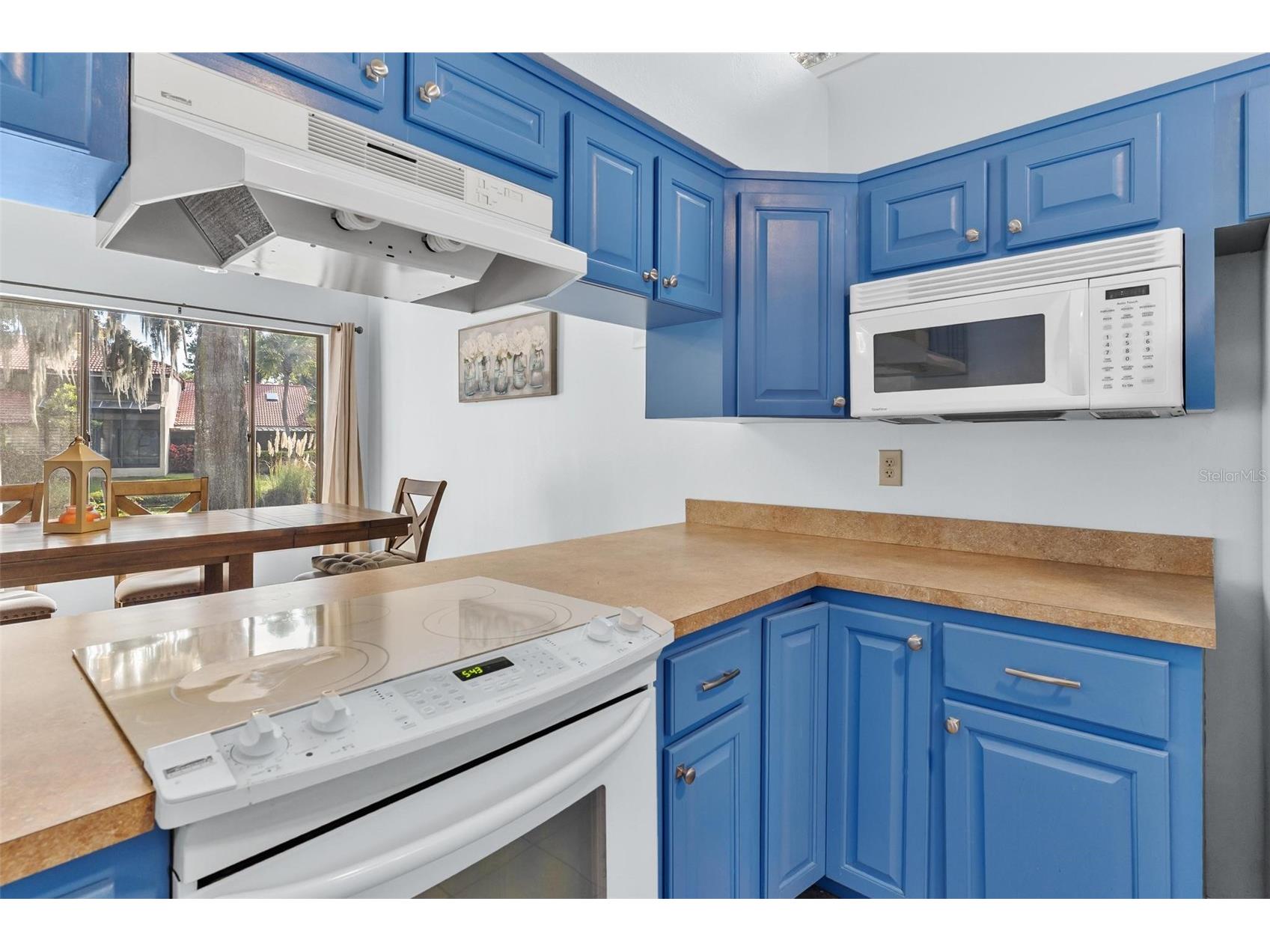 401 Clusterwood Drive Yalaha FL 34797 - LAKE HARRIS CHAIN OF LAKES G5102971 image15