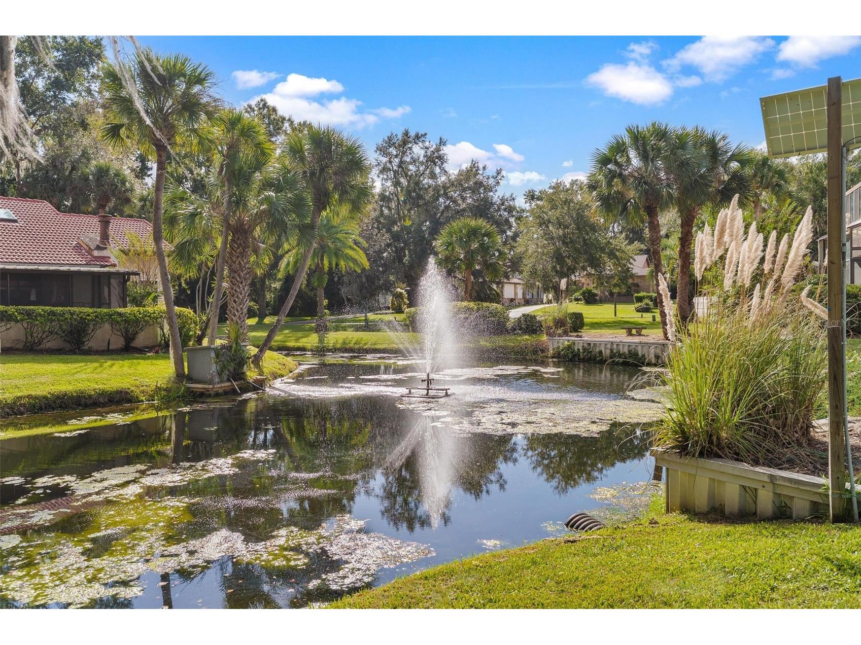 401 Clusterwood Drive Yalaha FL 34797 - LAKE HARRIS CHAIN OF LAKES G5102971 image31