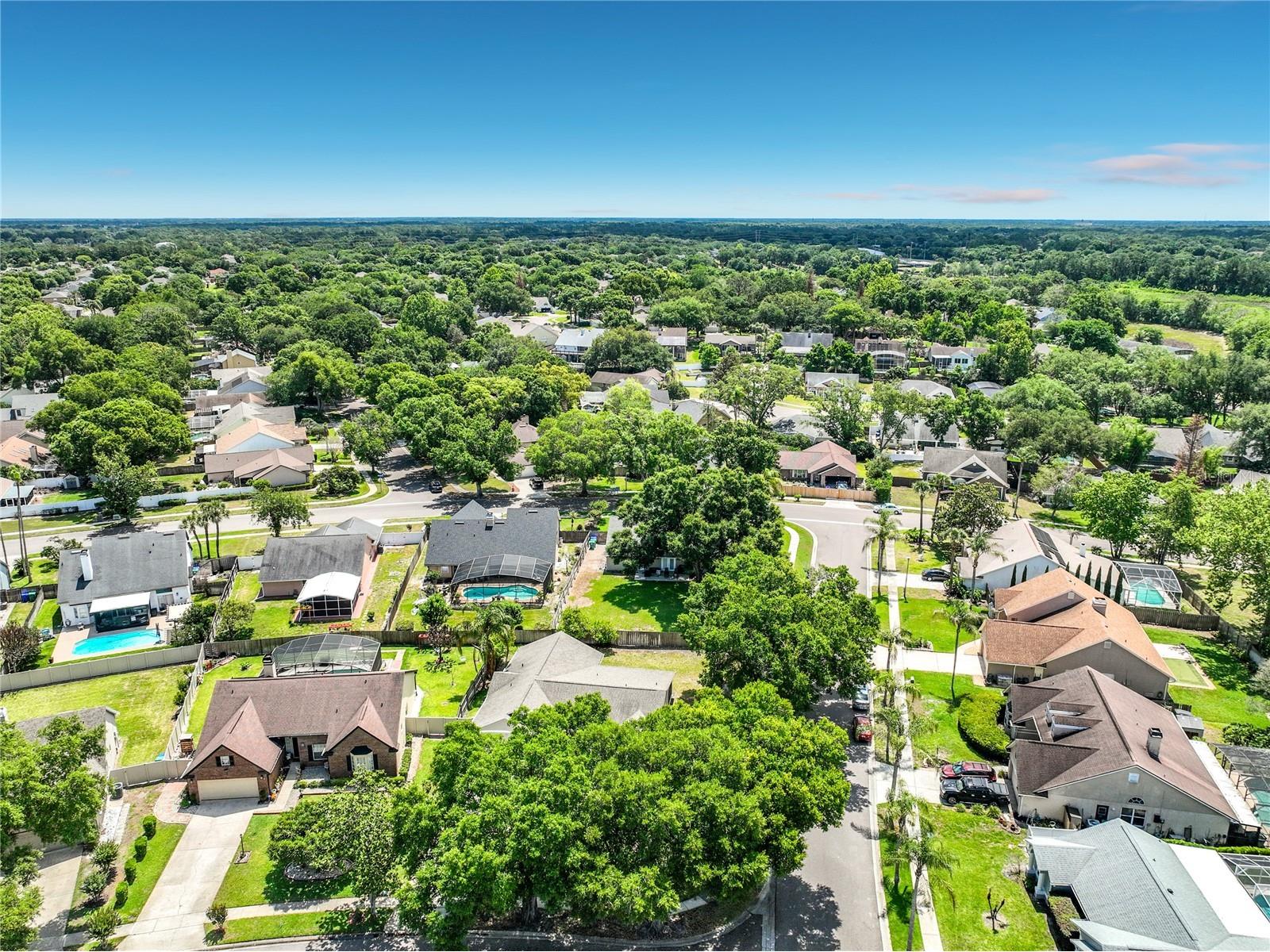 401 Country Wood Cir Lake Mary FL 32746 O6408564 image68