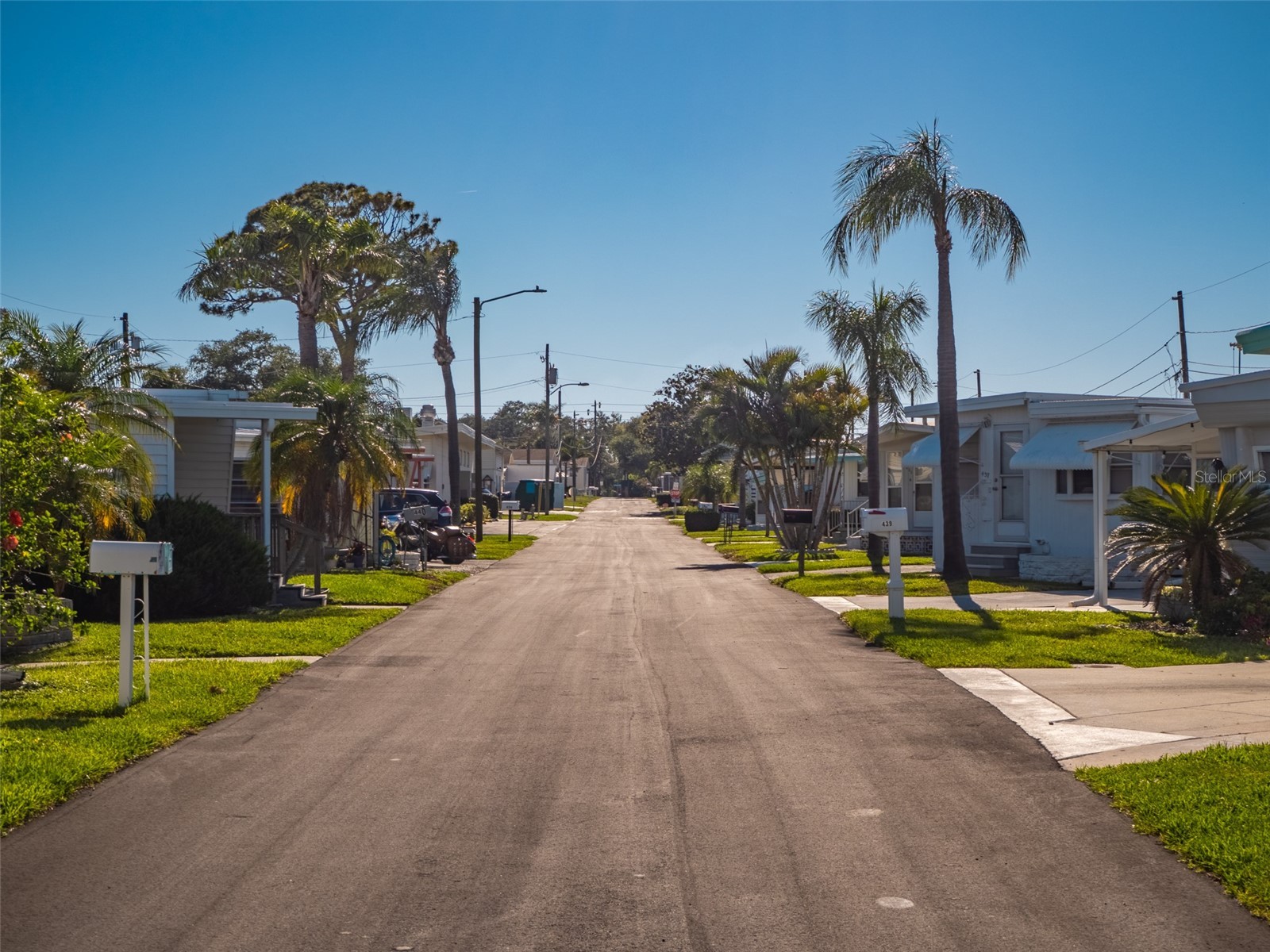 401 Denice Drive #401 Seminole FL 33772 TB8508937 image37