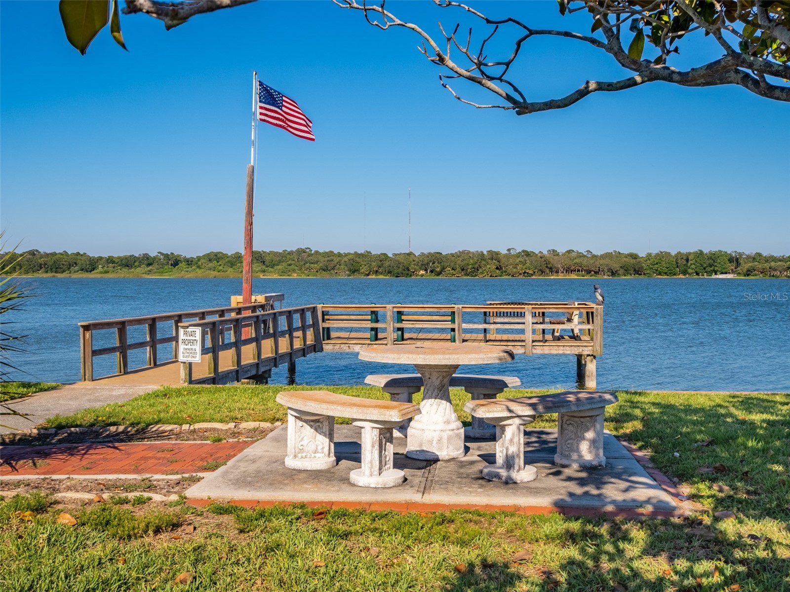 401 Denice Drive #401 Seminole FL 33772 TB8508937 image6