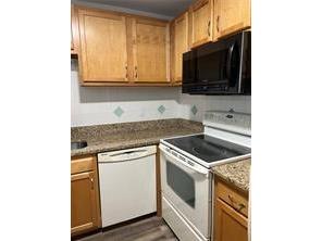 401 Dorchester Place #62 Sun City Center FL 33573 TB8345441 image4