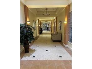 401 Dorchester Place #62 Sun City Center FL 33573 TB8345441 image47