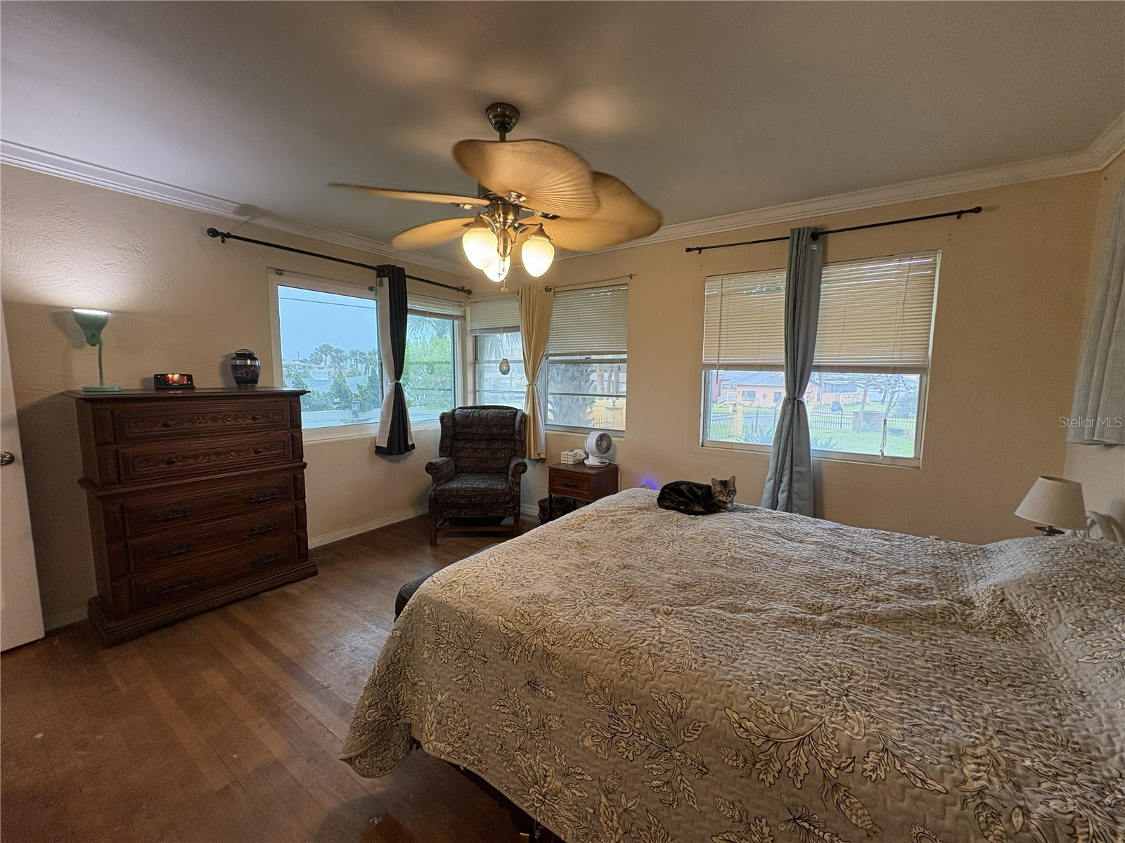 401 Driftwood Avenue Daytona Beach FL 32118 NS1088035 image34