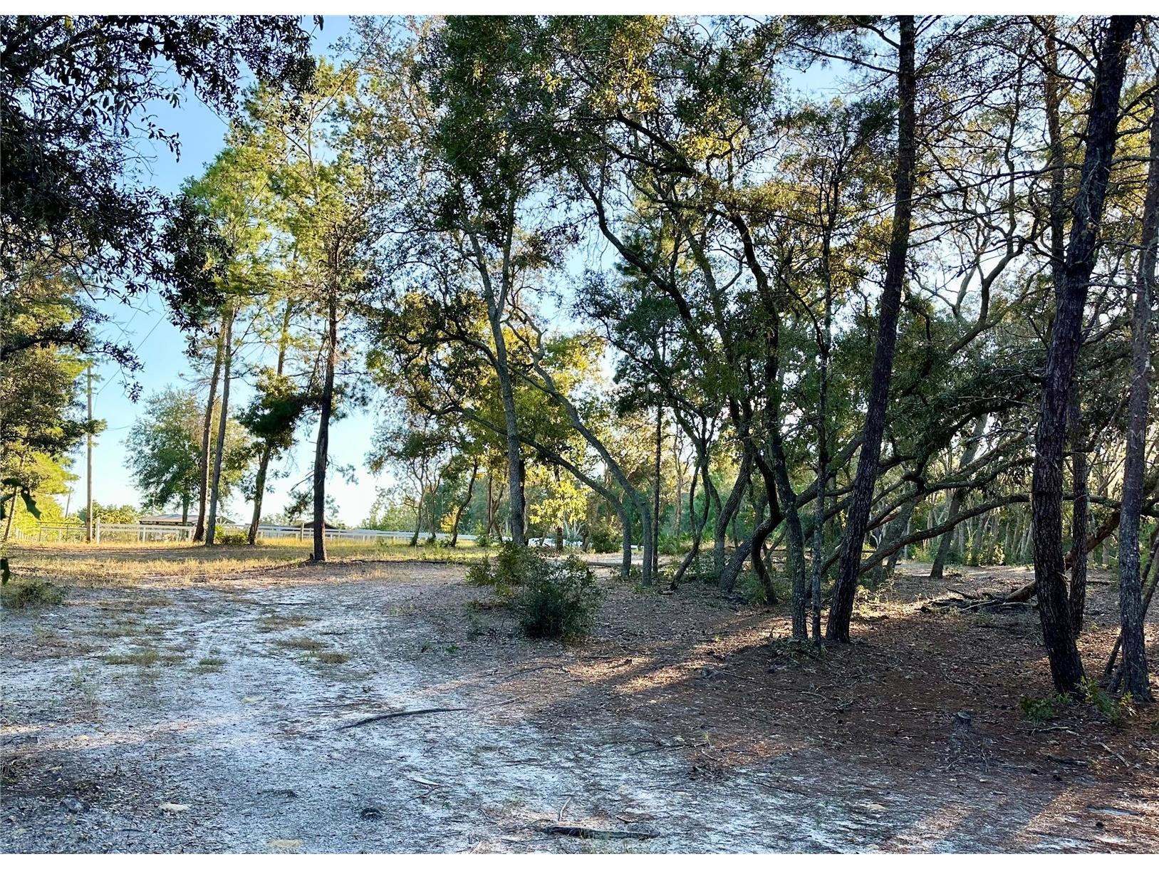 401 Dumbarton Avenue Pomona Park FL 32181 O6358775 image1