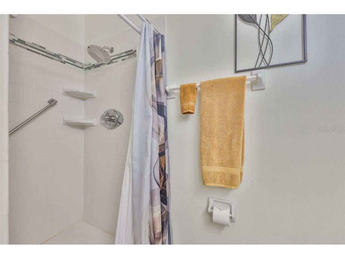 401 Feltham Trail #A Sun City Center FL 33573 TB8408958 image20