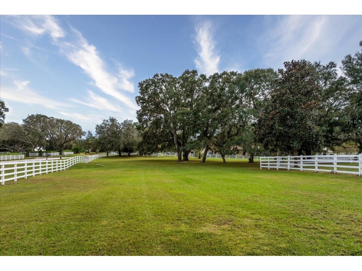 401 Kentucky Blue Circle Apopka FL 32712 O6357457 image63