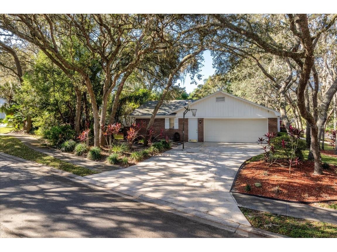 401 Magnolia Oak Drive Longwood FL 32779 O6348181 image33