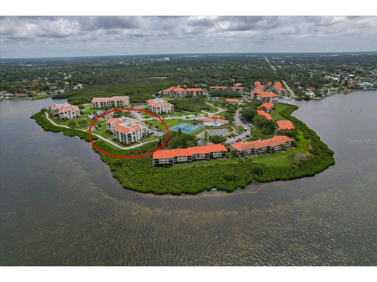 401 Mariner Drive #401 Tarpon Springs FL 34689 TB8509793 image1