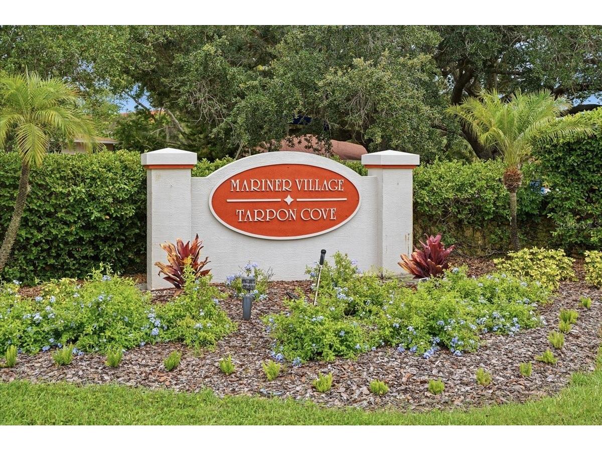 401 Mariner Drive #401 Tarpon Springs FL 34689 TB8509793 image11