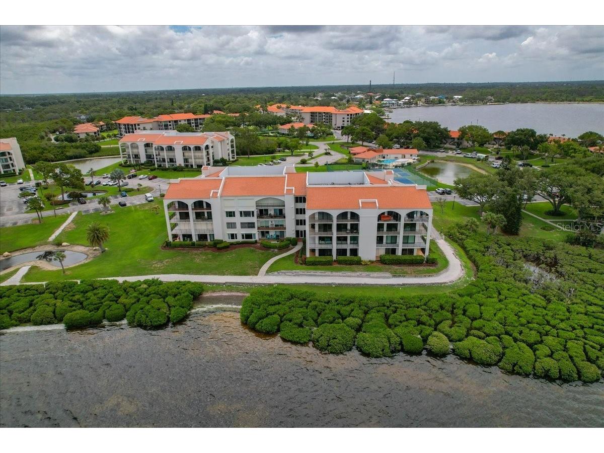 401 Mariner Drive #401 Tarpon Springs FL 34689 TB8509793 image2