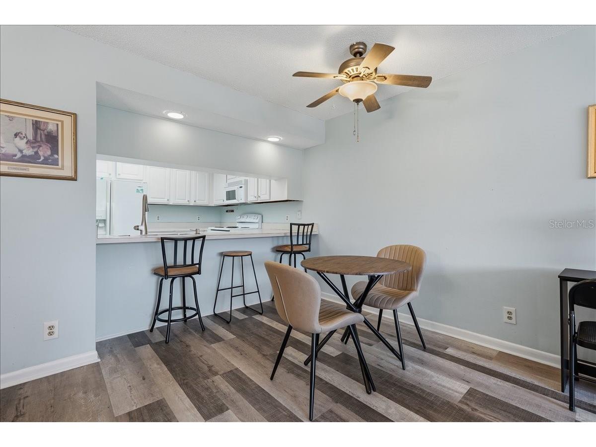 401 Mariner Drive #401 Tarpon Springs FL 34689 TB8509793 image22