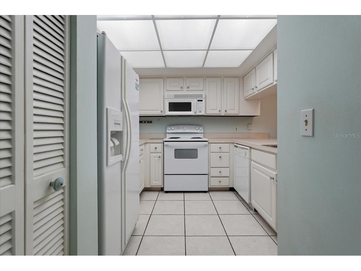 401 Mariner Drive #401 Tarpon Springs FL 34689 TB8509793 image23