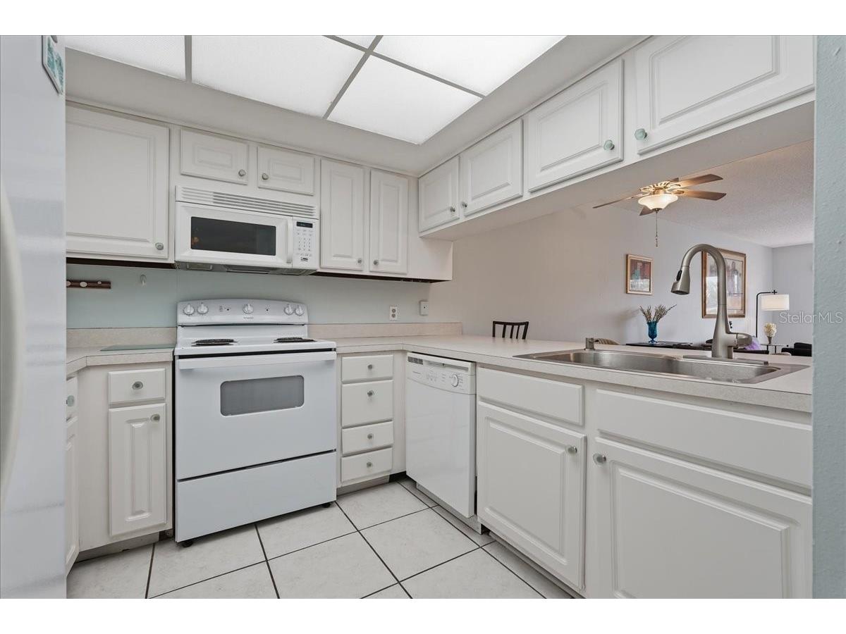 401 Mariner Drive #401 Tarpon Springs FL 34689 TB8509793 image24